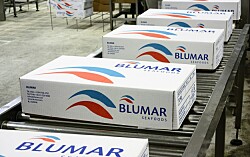 Filial salmonicultora de Blumar duplica ingresos y vuelve a registrar ganancias