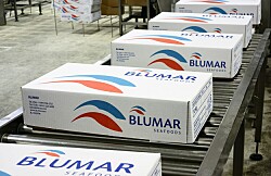 Filial salmonicultora de Blumar duplica ingresos y vuelve a registrar ganancias