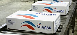 Clasificadora de riesgo asigna tendencia estable a las operaciones de Blumar