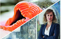 Salmonicultores piden no bajar la guardia tras fin de cuarentenas totales
