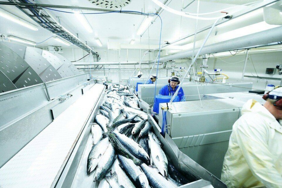 Imagen referencial planta de proceso noruega. Foto: Archivo Salmonexpert.