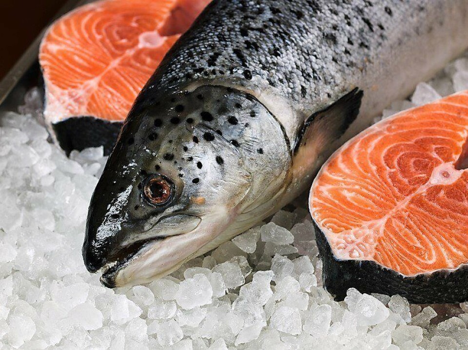 Foto: Archivo Salmonexpert.
