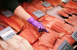 Globefish afirma que la pandemia podría actuar como catalizador del sector salmón
