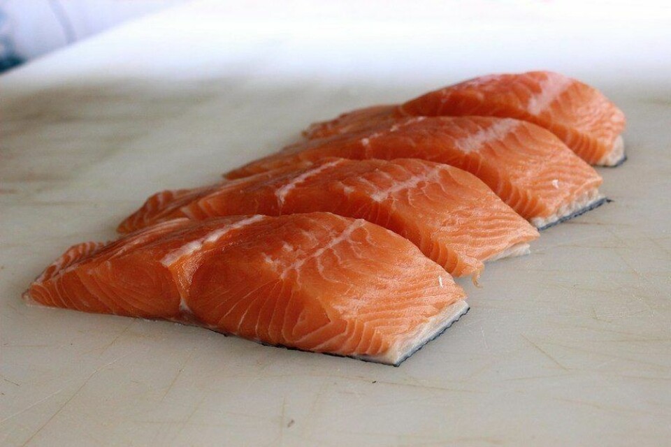 En la semana 8, volvió a subir el precio del salmón noruego. Foto: Archivo Salmonexpert.