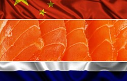 Abril: Radiografía de las exportaciones de salmón chileno a China y Rusia