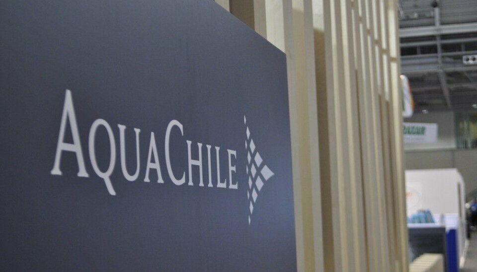 Imagen referencial de AquaChile.