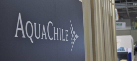 Grupo AquaChile saca cuentas alegres: aumenta fuertemente sus ganancias
