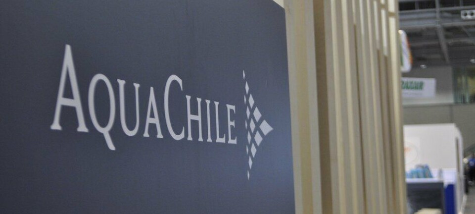 Grupo AquaChile saca cuentas alegres: aumenta fuertemente sus ganancias