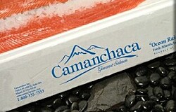 Salmones Camanchaca suscribe contrato de financiamiento por US$ 165 millones