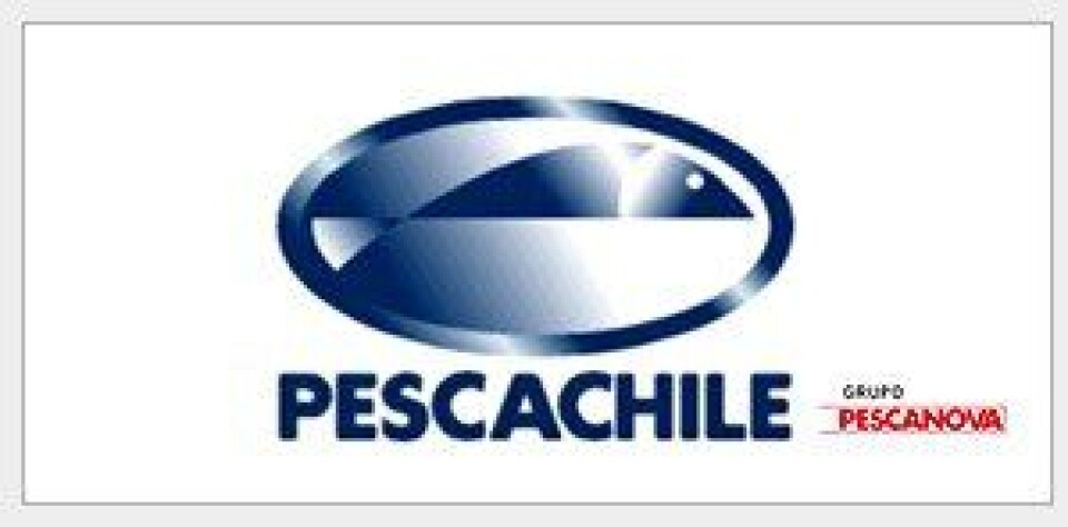 Pesca Chile adeudaría US$ 176,5 millones a 133 acreedores