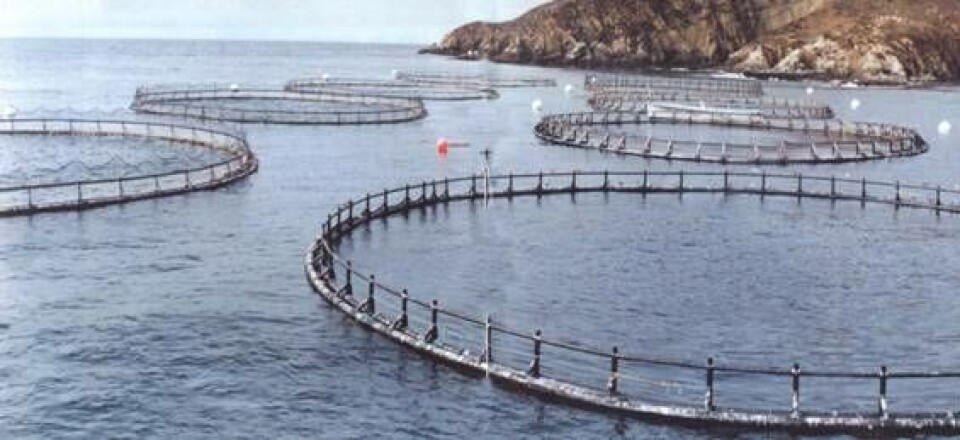 Salmones Magallanes realizó seminario sobre floraciones algales nocivas
