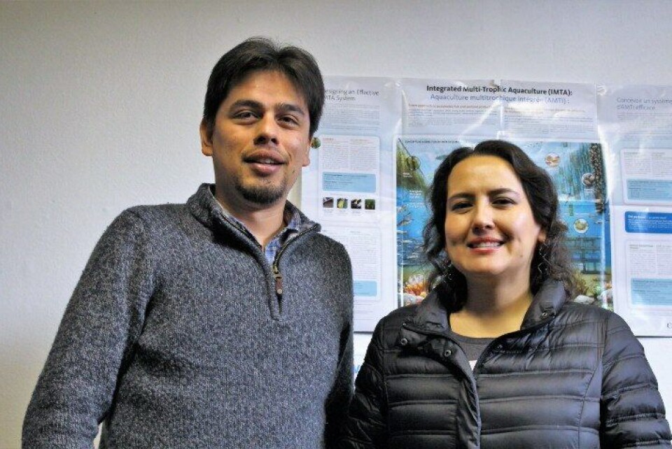 Los investigadores Dr. Pablo Leal y Johana Ojeda. imagen: IFOP.