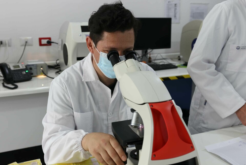 Eduardo Pulgar, bioquímico y PhD en Ciencias Biomédicas de Cedai Aquaculture. Foto: Cedida.