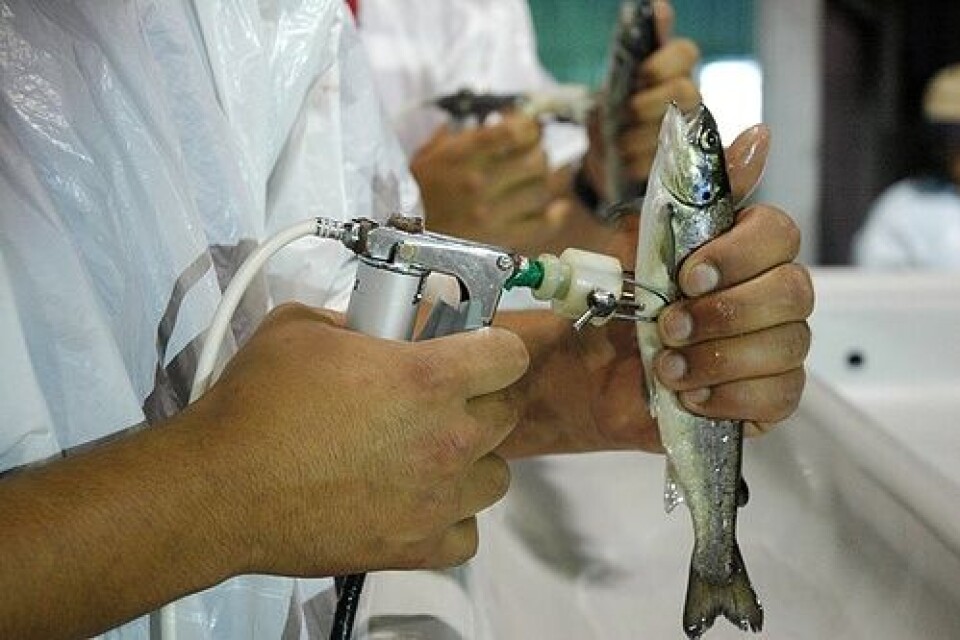 Sernapesca informó los resultados del nuevo programa de control y vigilancia del SRS