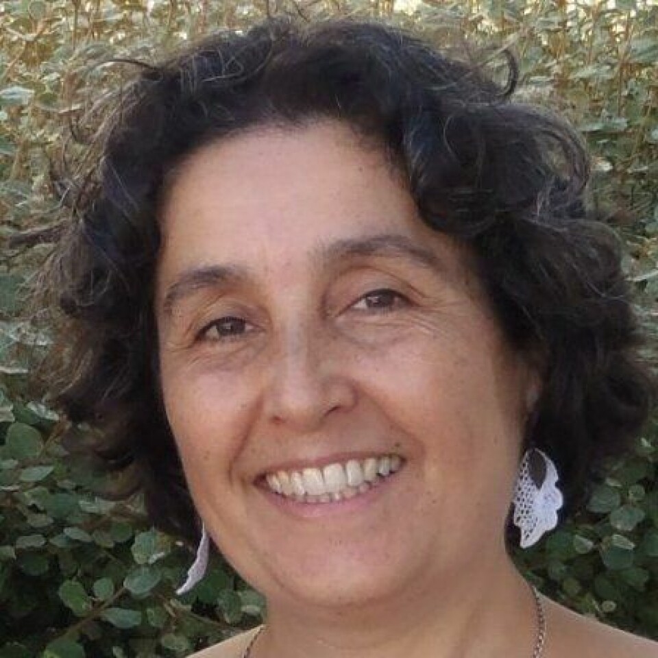 Dra. Laura González, investigadora de la Universidad Valparaíso. Foto: Linkedin.