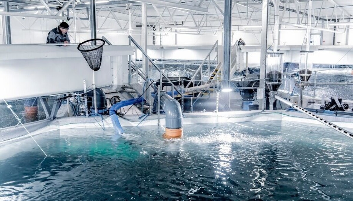 Akva Ras AKVA group desarrolla concepto de agua cero para sistemas RAS en salmón