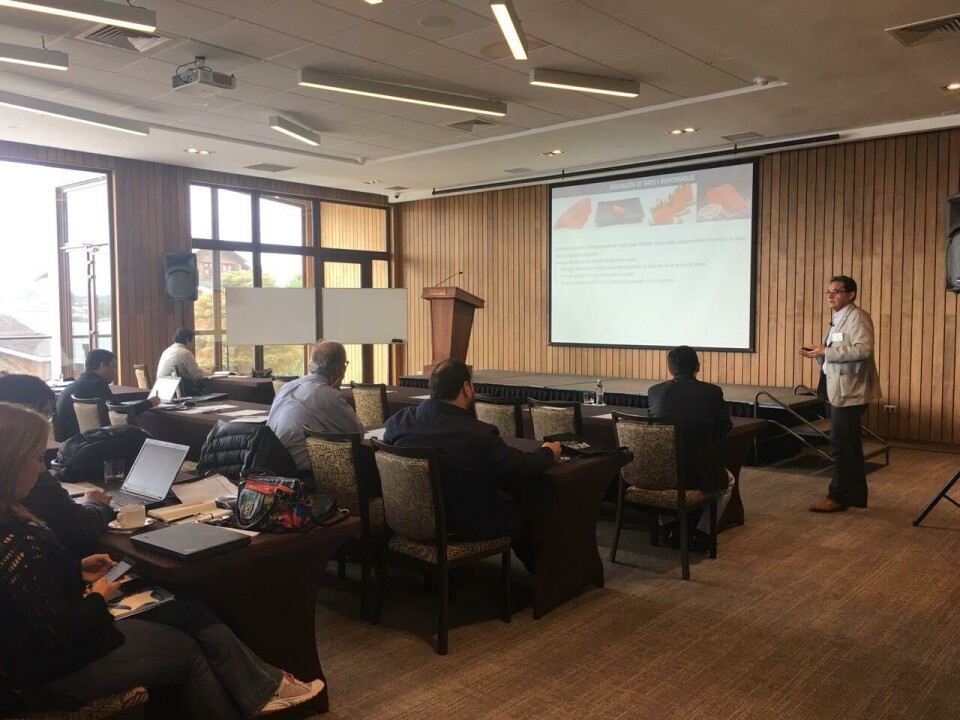 Primera versión de Fishtalk Product Council Chile en Puerto Varas. Imagen: AKVA group.