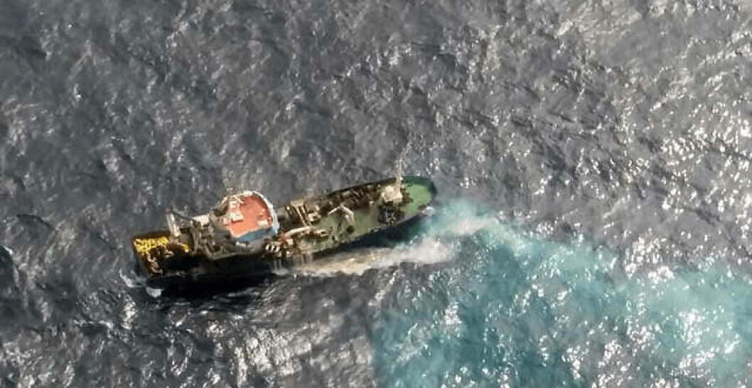 Al 6 de febrero, las FAN han causado una mortalidad de 917 toneladas de salmónidos. Foto: Sernapesca.
