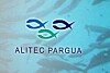 Alitec Pargua es premiada por el Consejo Nacional de Seguridad de Chile