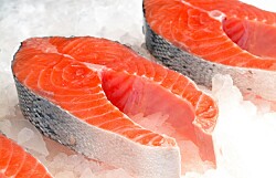 Alta actividad de cosecha y covid-19 continúan afectando precios del salmón