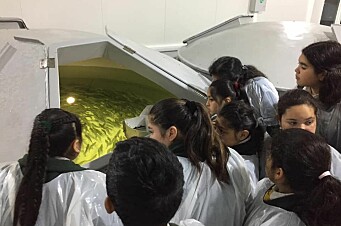 Alumnos de escuela de Pargua visitan instalaciones de Skretting