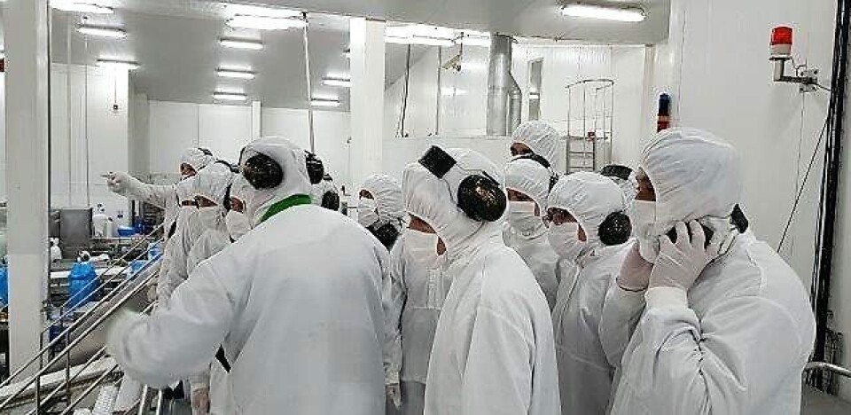 Foto: Multiexport Foods.