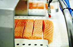 Precio del salmón noruego registra leve baja