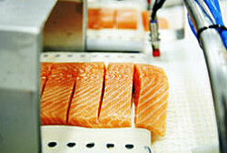 Fuerte alza en el precio del salmón noruego