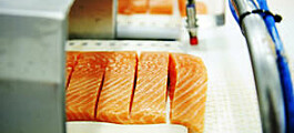 Noruega: precio del salmón sigue avanzando