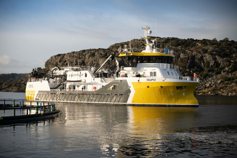 El 'Taupo' tiene 43 metros de eslora y una capacidad de carga de pescado de 300 toneladas. Foto: Amar Group.