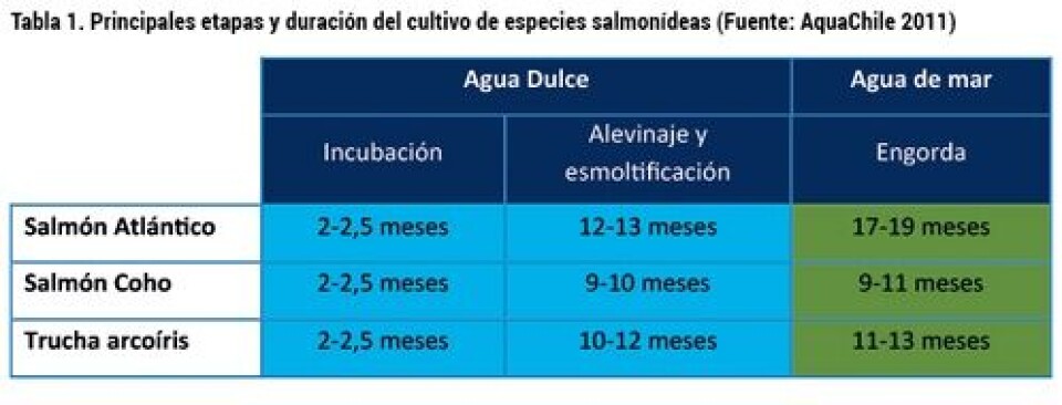 Análisis del desarrollo de la producción de smolt: escenario productivo, calidad y normativa