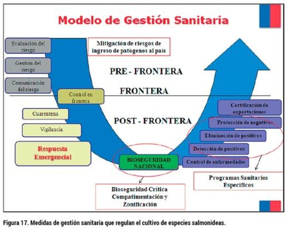 Análisis del desarrollo de la producción de smolt: escenario productivo, calidad y normativa