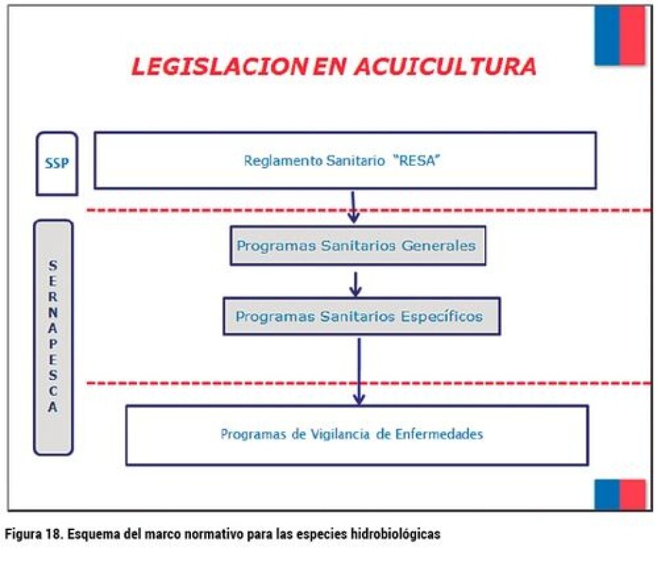 Análisis del desarrollo de la producción de smolt: escenario productivo, calidad y normativa