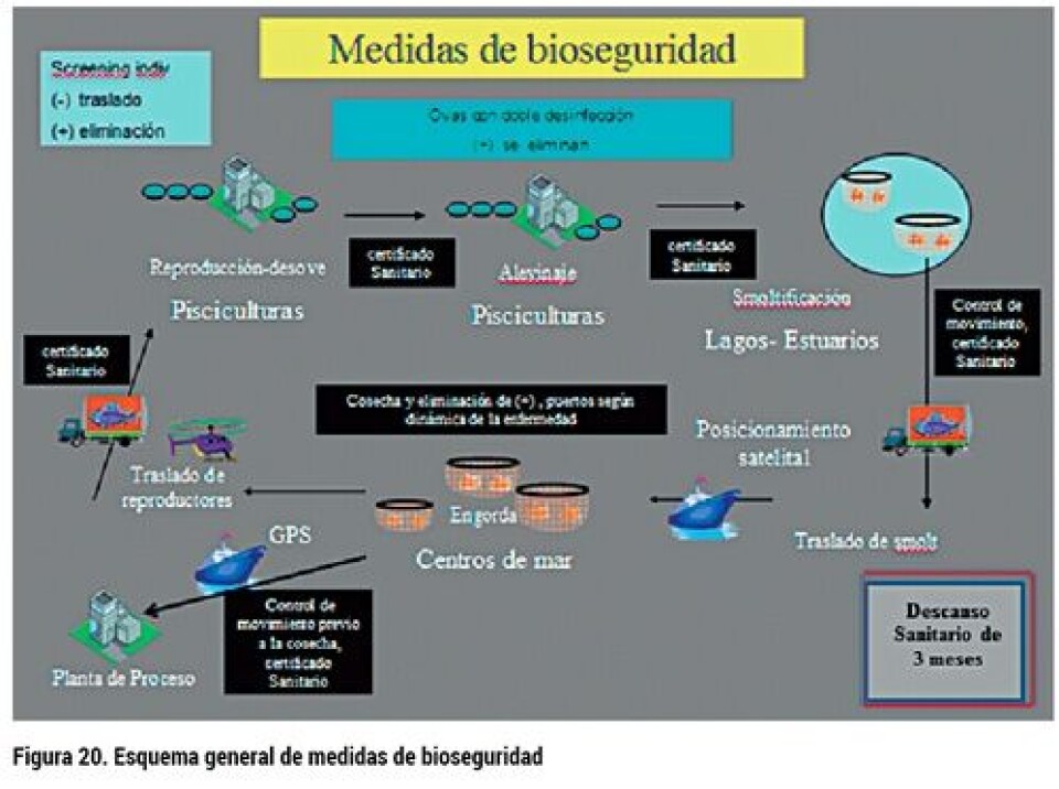Análisis del desarrollo de la producción de smolt: escenario productivo, calidad y normativa