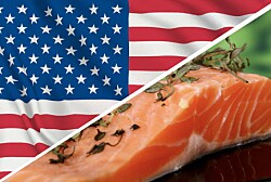 Analistas prevén recuperación de precios para salmón chileno en segundo semestre