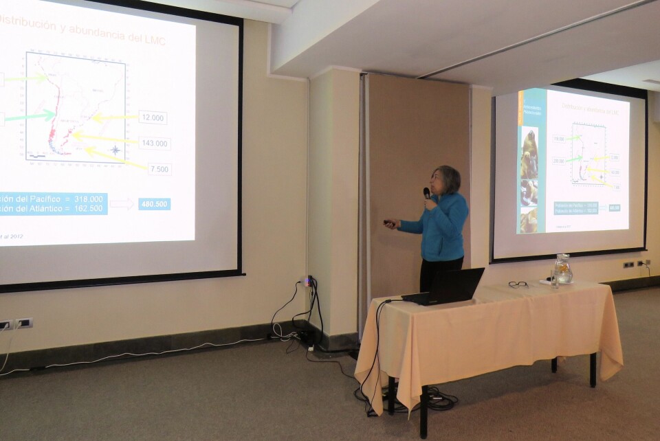 Investigadora Universidad de Valparaíso, Doris Oliva. Foto: Karla Faundez, Salmonexpert.