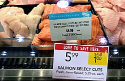 Elanco anuncia webinar sobre regulación para importar salmón en EE.UU.