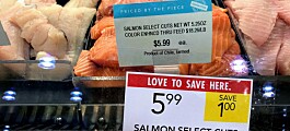 Proyectan sólida recuperación para el salmón chileno en Estados Unidos