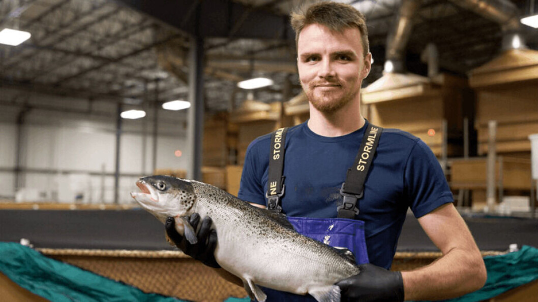 Miembro del personal con un salmón en las instalaciones RAS de AquaBounty en Indiana. Foto: AquaBounty. Miembro del personal con un salmón en las instalaciones RAS de AquaBounty en Indiana. Foto: AquaBounty.