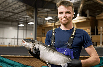 AquaBounty obligada a adelantar cosechas de su salmón convencional