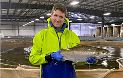 Productor de salmón transgénico revela sus planes para recaudación de fondos