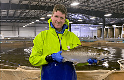 AquaBounty vende primera cosecha a escala comercial de su salmón transgénico