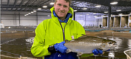AquaBounty vende primera cosecha a escala comercial de su salmón transgénico
