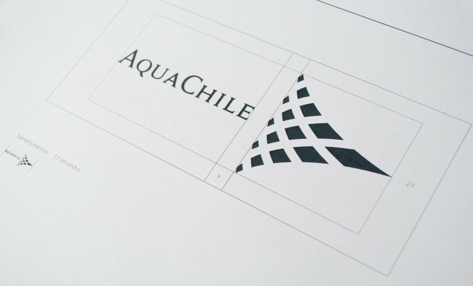Imagen referencial de AquaChile. Foto: AquaChile.
