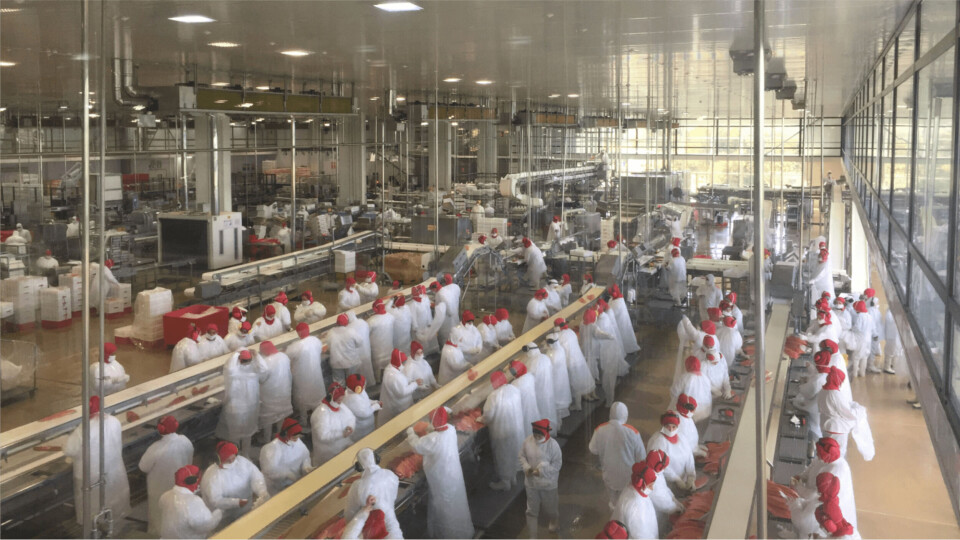 La planta de procesamiento expandida de AquaChile emplea a 1.000 personas. Foto: AquaChile.