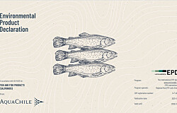 AquaChile realiza inédita Declaración  Ambiental de Producto para salmón