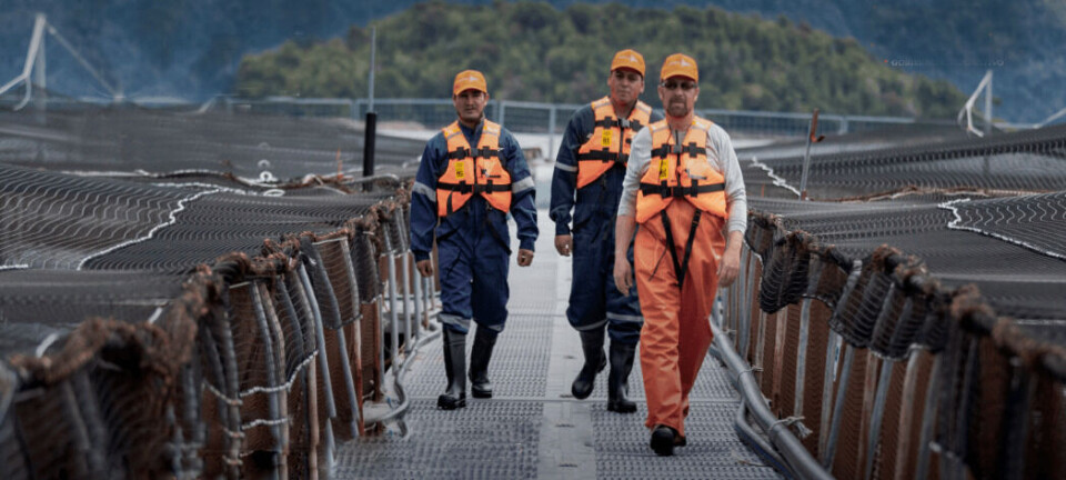 Agrosuper por salmones: “Chile conserva una ventaja competitiva frente a Noruega”