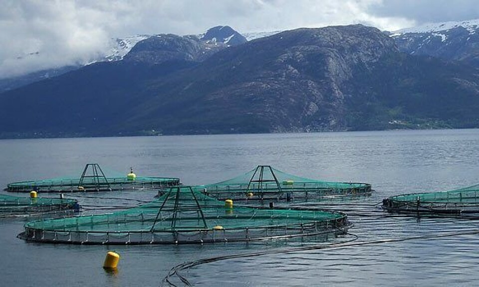 Salmonicultora perteneciente a Salmar y Leroy Seafood obtuvo certificación ASC