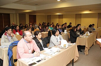 Puerto Varas acogerá taller de liderazgo y gestión de equipos