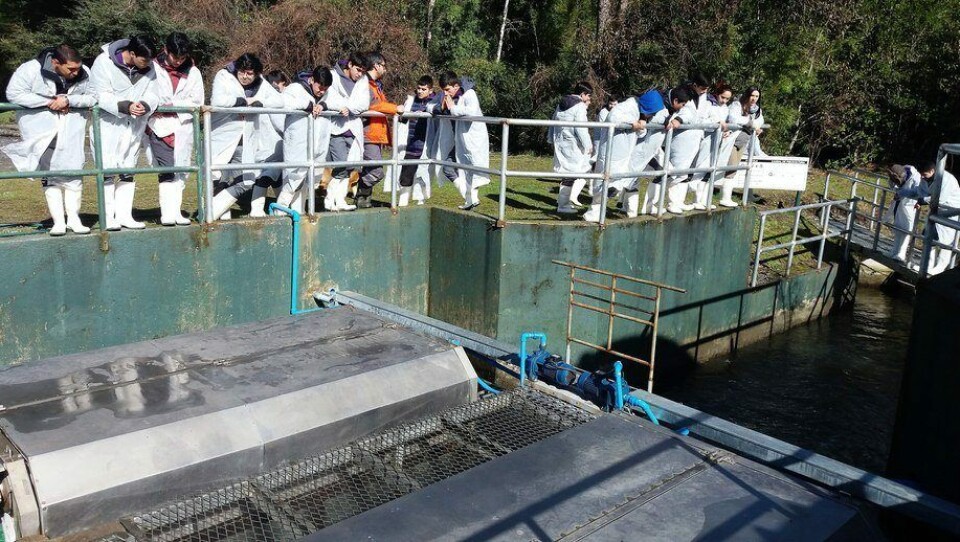 Piscicultura en la región de La Araucanía. Foto: Archivo Salmonexpert.